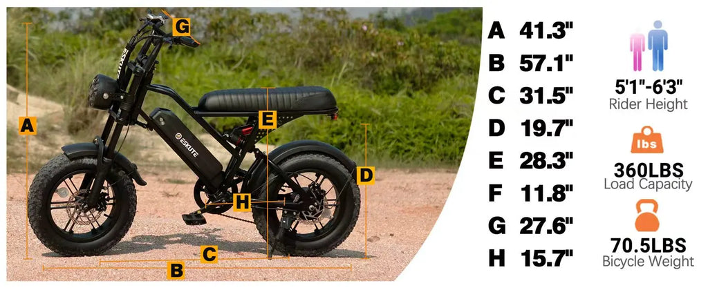1500W Peak 28MPH 48V13Ah Motorcycle, 16"x4" Fat Tire Dual Suspension