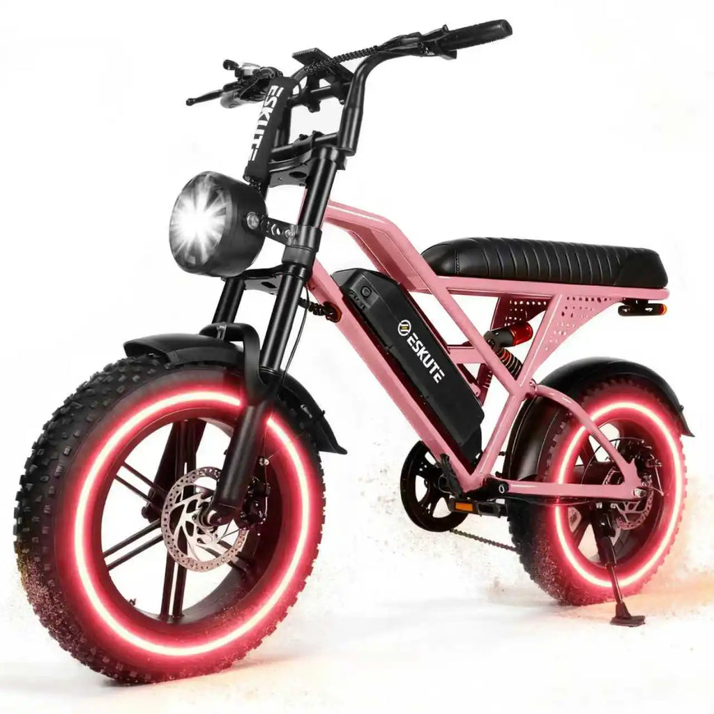 1500W Peak 28MPH 48V13Ah Motorcycle, 16"x4" Fat Tire Dual Suspension