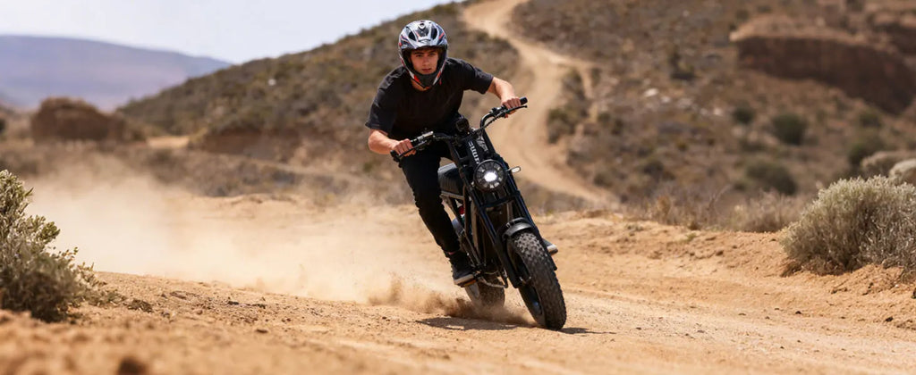 1500W Peak 28MPH 48V13Ah Motorcycle, 16"x4" Fat Tire Dual Suspension