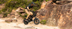 1500W Peak 28MPH 48V13Ah Motorcycle, 16"x4" Fat Tire Dual Suspension