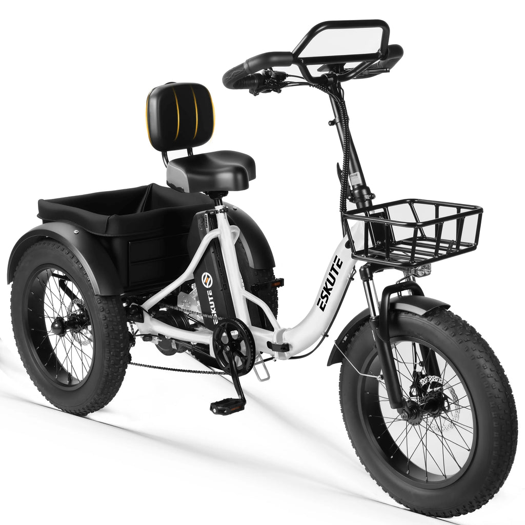 Electric Trike for Adults, 998.4Wh , 1200W Peak  20"x4.0" Fat Tires,