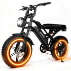 1500W Peak 28MPH 48V13Ah Motorcycle, 16"x4" Fat Tire Dual Suspension